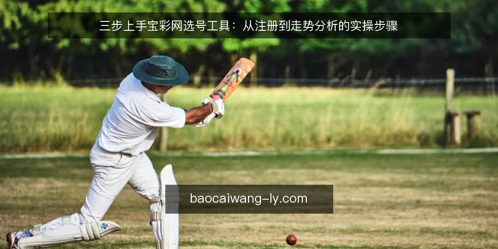 三步上手宝彩网选号工具：从注册到走势分析的实操步骤 — 第一步：注册与基础设置 配图