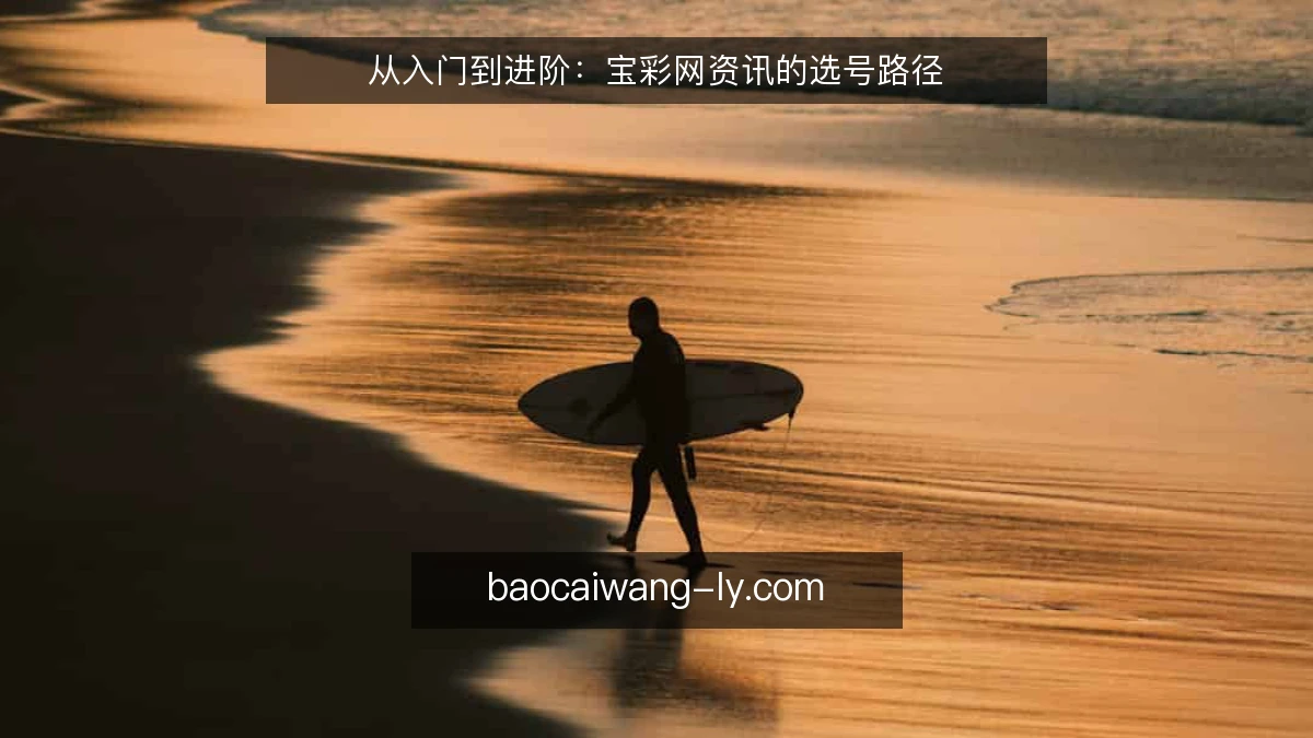 从入门到进阶：宝彩网资讯的选号路径