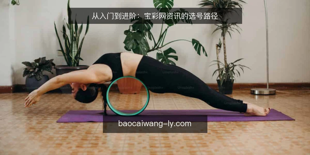 从入门到进阶：宝彩网资讯的选号路径 — 设定基线：明确你的选号起点 配图
