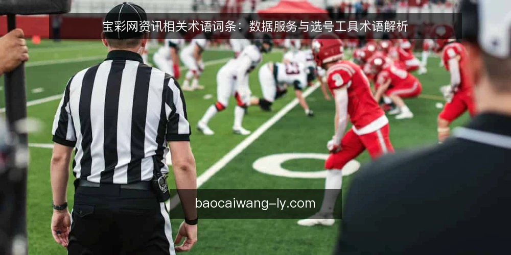 宝彩网资讯相关术语词条：数据服务与选号工具术语解析 — 术语：宝彩网资讯 配图